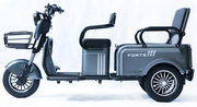 Акумуляторний трицикл Forte CARGO-P800 (сірий) (145420)