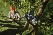 Міні-пила акумуляторна Husqvarna Aspire PE5-P4A+штанга (без АКБ та ЗП) (9706214-02)