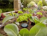 Датчик вологості грунту Gardena (01867-20.000.00)