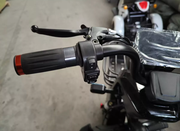 Електроскутер Forte FAMILY MAX, чорний (137210)