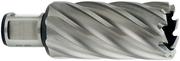 Корончаті свердло Metabo Weldon 19 HSS 21х55 мм (626530000)