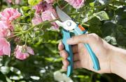 Сучкоріз Gardena EasyCut 680B + секатор Classic (12003-30.000.00)