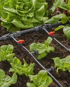 Комплект поливу Gardena Micro-Drip-System Raised Bed Set для високих грядок на 35 рослин (13455-20.000.00)