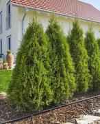 Комплект GARDENA Micro-Drip-System для рядного поливу, 50 м (13501-20.000.00)