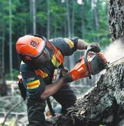 Бензинова пилка Husqvarna 545 II (9676906-35)