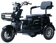 Акумуляторний трицикл Forte Family-P1000 (чорний) (145230)