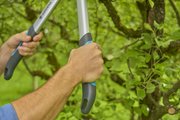 Сучкоріз Gardena EasyCut S, 45 мм (12030-20.000.00)