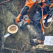 Акумуляторна пилка Husqvarna T542iXP (9706468-14) (без АКБ та ЗП)