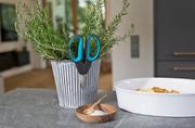 Ножиці для трав і квітів Gardena HerbCut с кобурою (12214-36.000.00)
