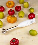Блендер Bosch CleverMixx MSM26500