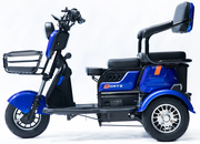Акумуляторний трицикл Forte Family-P600 (синій) (145225)