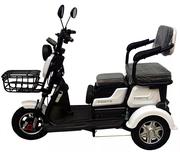 Електроскутер FORTE FAMILY, білий (119374)