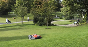 Газонокосарка-робот Husqvarna AM 550 (9676502-11)