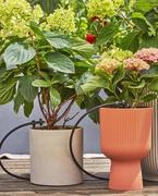 Комплект поливу Gardena Micro-Drip-System Balcony Set для балкону на 15 рослин (13401-20.000.00)