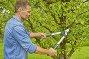 Сучкоріз для зелених гілок до 42 мм Gardena EasyCut 500 B (12002-20)