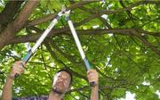 Сучкоріз Gardena EasyCut 680B + секатор Classic (12003-30.000.00)