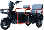 Акумуляторний трицикл Forte CARGO-P800 (чорний) (145418)