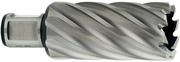 Корончаті свердло Metabo Weldon 19 HSS 23х55 мм (626532000)