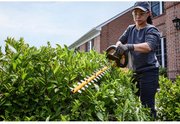 Кущоріз акумуляторний безщітковий DeWALT DCMHT573X1
