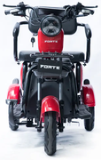 Акумуляторний трицикл Forte Family-P600 (червоний) (145226)