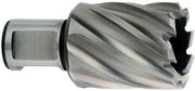 Корончаті свердло Metabo Weldon 19 HSS 17х30 мм (626505000)