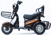 Акумуляторний трицикл Forte S1-P600 (коричневий) (145207)