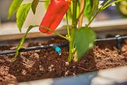 Комплект поливу Gardena Micro-Drip-System Terrace Set на 30 рослин (13400-20.000.00)