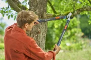 Сучкоріз Gardena TeleCut Pro L, 50 мм (12041-20.000.00)