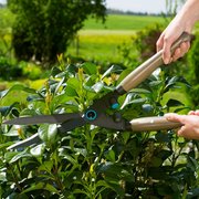Ножиці для живоплоту механічні Gardena NatureCut (12300-20)