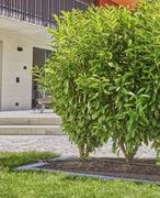 Комплект GARDENA Micro-Drip-System для рядного поливу, 50 м (13501-20.000.00)