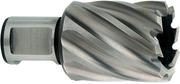 Корончаті свердло Metabo Weldon 19 HSS 27х30 мм (626515000)