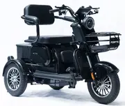 Акумуляторний трицикл Forte Family-P1000 (чорний) (145230)