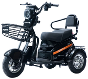 Акумуляторний трицикл Forte S1-P600 (чорний) (145206)