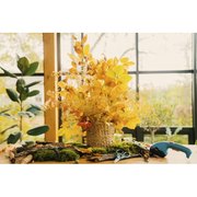 Ножиці акумуляторні GARDENA ClassicCut (09885-20.000.00)