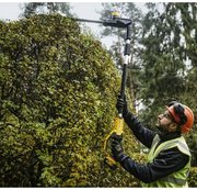 Кущоріз акумуляторний щітковий зі штангою DeWALT DCMPH566P1