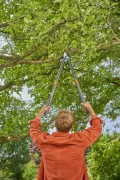 Сучкоріз Gardena TeleCut Pro L, 50 мм (12041-20.000.00)