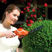 Кущоріз-ножиці акумуляторні BLACK+DECKER GSL700KIT