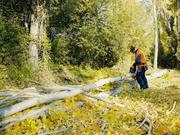 Бензопилки Husqvarna 236