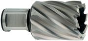 Корончаті свердло Metabo Weldon 19 HSS 18х30 мм (626506000)