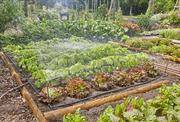 Комплект поливу Gardena Micro-Drip-System (13450-20.000.00)