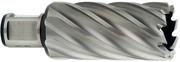 Корончаті свердло Metabo Weldon 19 HSS 19х55 мм (626528000)