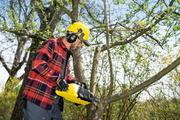 Ланцюгова пила Karcher CNS 18-30 Battery (9.611-915.0)