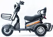 Акумуляторний трицикл Forte S1-P600 (сірий) (145208)