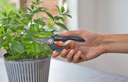 Ножиці для трав та квітів Gardena GripCut (12213-20.000.00)