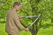 Сучкоріз Gardena EasyCut L 45 мм (12031-20.000.00)