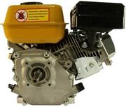 Двигун бензиновий Forte F210GS-20 (797280)
