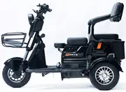 Акумуляторний трицикл Forte Family-P600 (чорний) (145224)