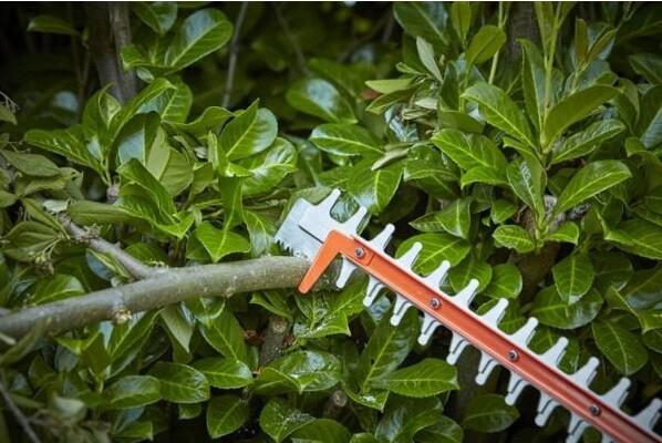 Кущоріз BLACK DECKER BEHTS551
