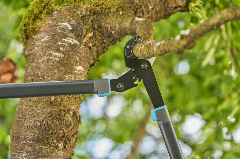 Сучкоріз для сухих гілок до 50 мм Gardena EnergyCut Pro L Anvil, 75 см (12052-20)