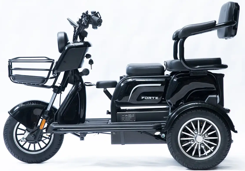 Акумуляторний трицикл Forte Family-P1000 (чорний) (145230)